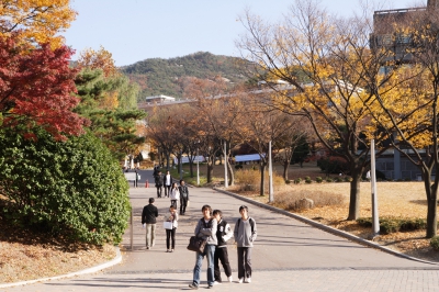 각 동창회 가을 행사 안내