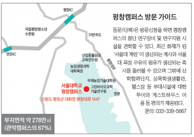 살충제 파동 끄떡없던 서울대 평창 계란, 3~4개월 뒤에 받는다 해도 주문이 밀려요