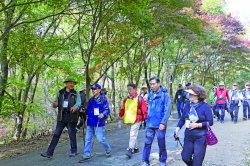 서울대 소유된 안양수목원, 동문들 모여 함께 걸었다
