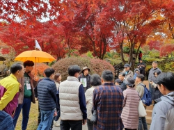 임학동문회 동문 가족 소풍 가평 아침고요수목원서 가족들과 가을 하루